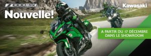 5498_kaw_z1000sx_fb_cover_be_fr-1-1