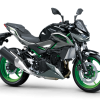 Z500SE 2025 – Image 2