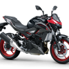 Z500SE 2025 – Image 3